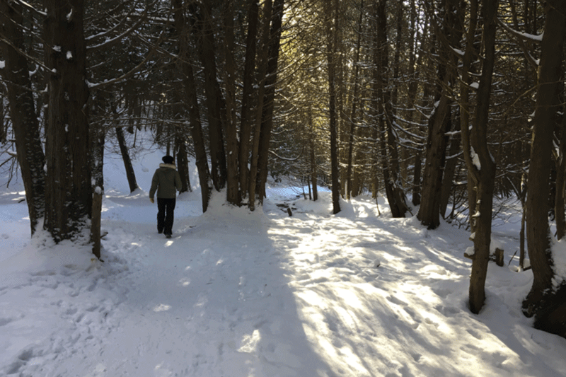 Life of a Local: Winter Hiking