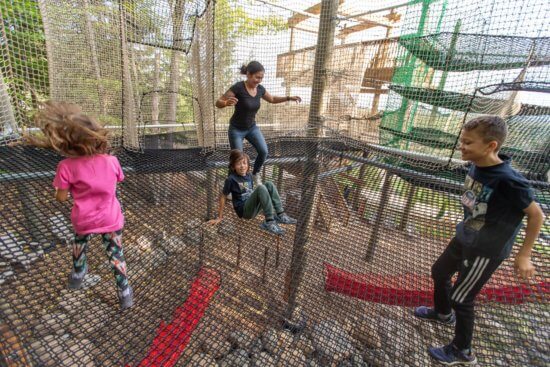 Smiles Guaranteed: Reopening of Canopy Climb Net Adventure