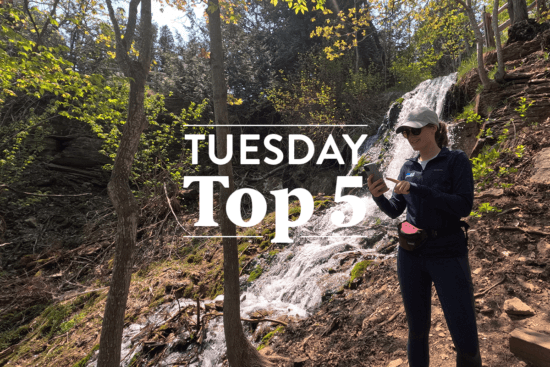 Tuesday Top 5 (June 12-18)